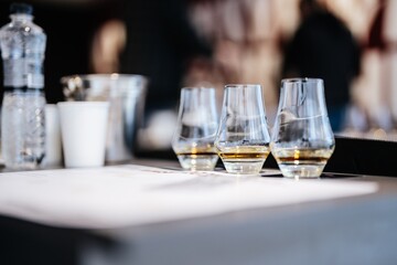 Glasses of whiskey elegantly displayed at a tasting event in evening light