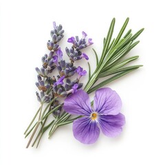 Naklejka premium Fresh purple lavender, rosemary, and pansy arrangement. Aromatic sprigs of lavender
