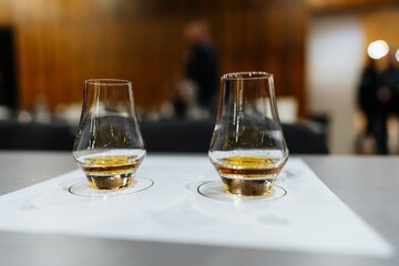 Whiskey tasting session featuring two elegant glasses in a cozy setting