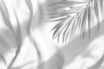 Elegant, monochrome backdrop featuring draped fabric and a palm leaf shadow