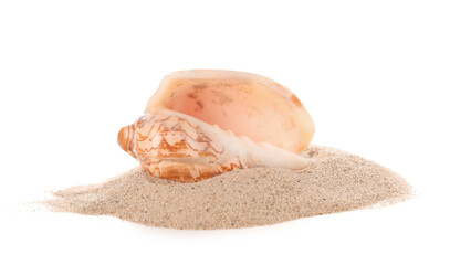 Heap of sand with beautiful seashell on white background