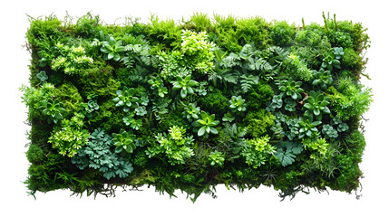 Lush Green Vertical Garden Wall. (1)