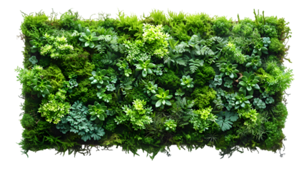 Lush Green Vertical Garden Wall. (1)