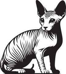 Sphynx Cat Vector Black and White Line Art Illustration