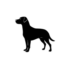 Fototapeta premium Black Labrador dog silhouette standing on white background 