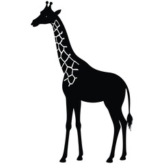 Obraz premium Elegant Giraffe Silhouette Standing Tall With Distinctive Neck Pattern Design.