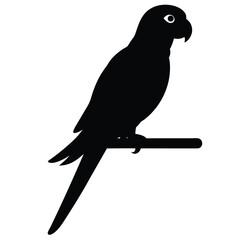 Silhouette Of A Parrot Perched On A Branch In Vector Style Illustration.