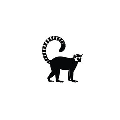Lemur silhouette on white background