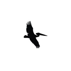 Pelican bird silhouette on white background