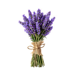 Fototapeta premium Fresh lavender bouquet tied twine isolated on transparent background