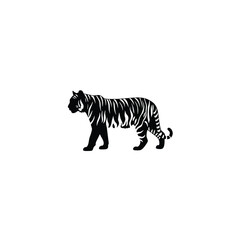 Tiger silhouette on white background