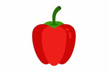 red hot chili pepper vector illustration 