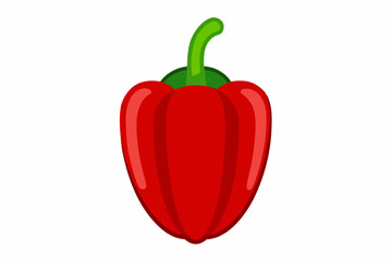 red hot chili pepper vector illustration 