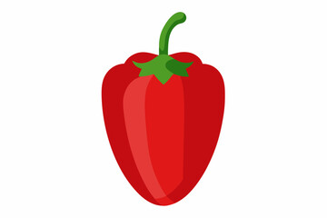 red hot chili pepper vector illustration 