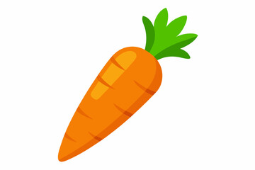 carrot vector illustration illustration 