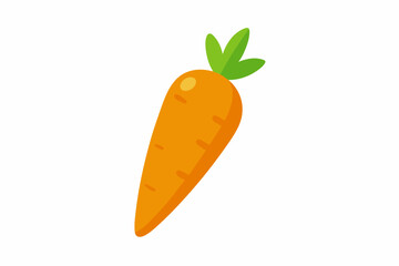 carrot vector illustration illustration 