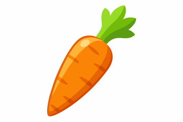 carrot vector illustration