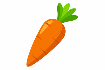 carrot vector illustration illustration 