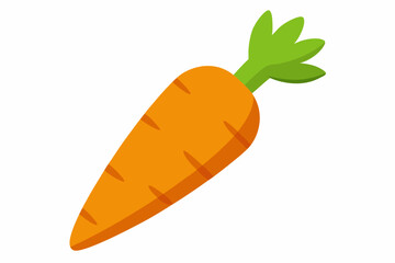 carrot vector illustration illustration 