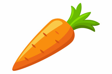carrot vector illustration