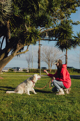 Obraz premium Young woman trains golden retriever puppy in the park in sunny weather. Happy dogs concept