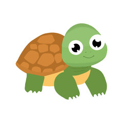 Kawaii turtle character design illustration. kawaaii, cute turtles. Cute sea turtle cartoon isolated on white background Vector illustration