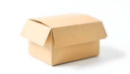 brown unlabeled paper food box isolated on white background