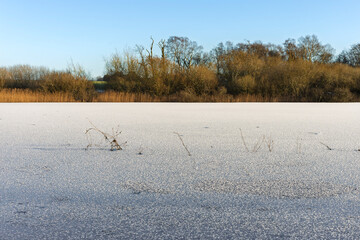 Frozen and Ice-Covered Lake Landscape with Distant Bare Trees and Blue Sky