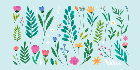 Flower leaves and berries Hand Drawn Flat Set