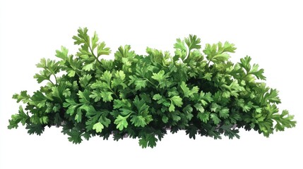 Obraz premium Lush green foliage cluster