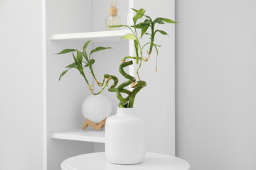 Vase with bamboo stems on coffee table and shelving unit near white wall, closeup