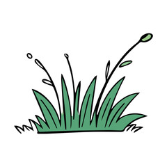 Hand drawn shrub bush shrubbery tree. set of garden plant element. Eco element