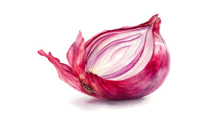 watercolor illustration of a whole and sliced red onion