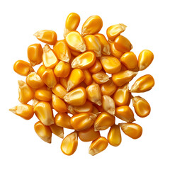 Fototapeta premium Golden Corn Kernels Close Up View