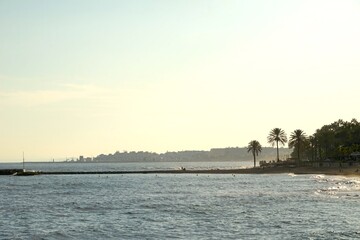 palm trees on the beach, houses of the famous habor Puerto Banús behind, beautiful evening light at the Mediterranean Sea, Marbella, Malaga, Costa del Sol, Spain