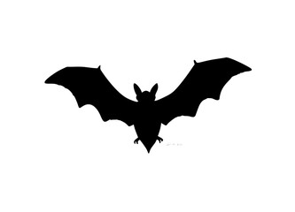 Vector Illustration of a Bat Silhouette with Spread Wings on a White Background