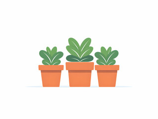 Fototapeta premium Three Terracotta Pots With Green Plants