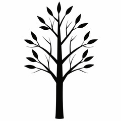 Obraz premium Birch Tree silhouette icon on white background