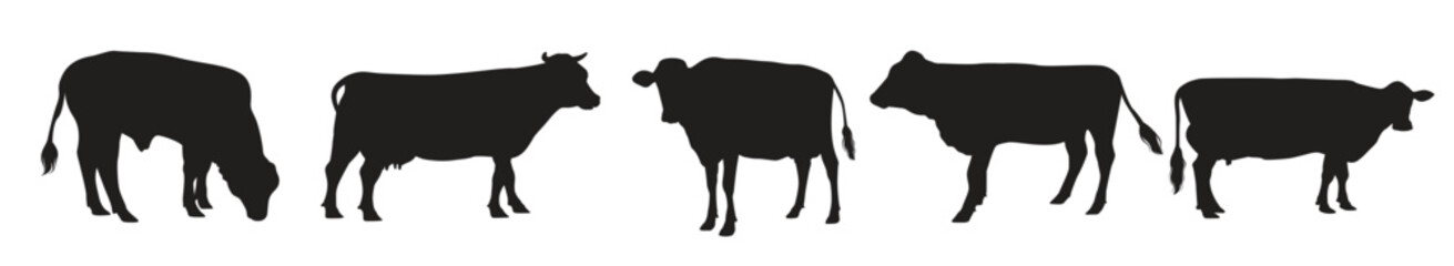 Collection of Cow Silhouette in different poses