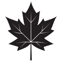 Obraz premium Black and white maple leaf silhouette