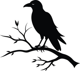 Black crow silhouette, a wild bird on a tree branch, nature illustration
