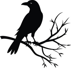 Black crow silhouette, a wild bird on a tree branch, nature illustration