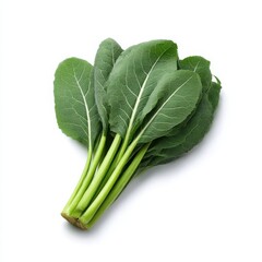 Fresh choy sum vegetable bunch isolated on white background