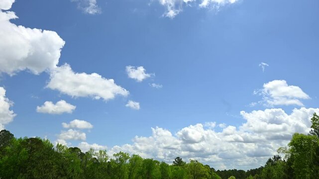 Spring clouds above trees, time lapse