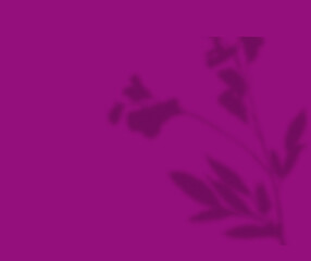 Stylish Background Color with Soft Shadow Effects