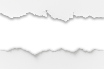 white torn paper craft frame background