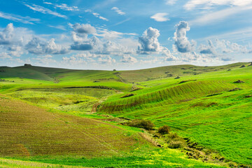 Fototapeta premium green spring hills with young grass and amazing growing fields and hills with beautiful bright cloudy sunset on background of rural landscape