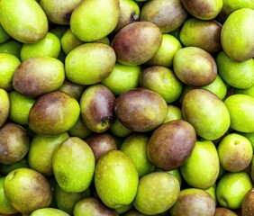 green and olives background texture