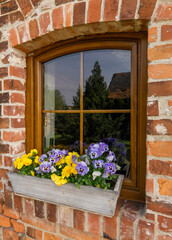 Window with blue and yellow pansies in a rustic window box.