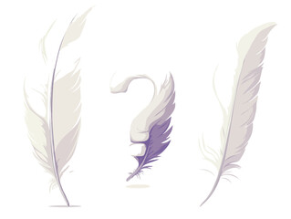 Obraz premium feather on white background